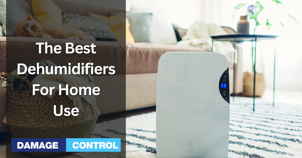 best dehumidifiers for home use