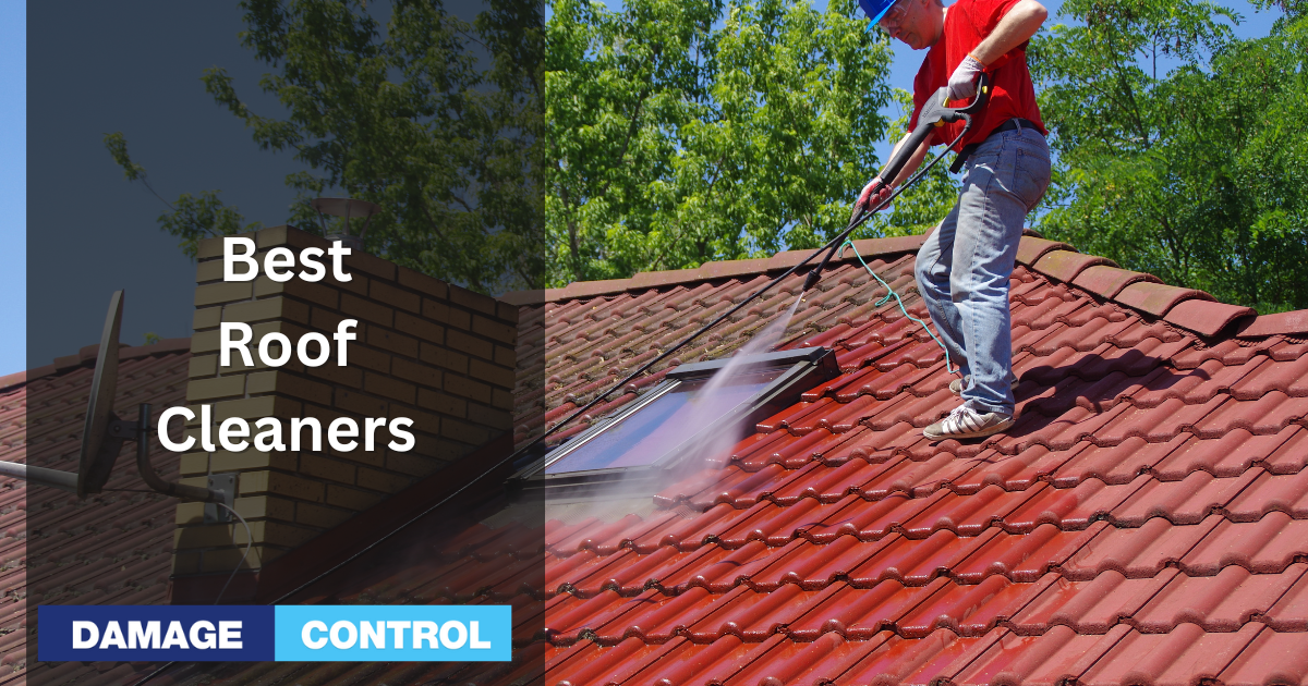Roof Cleaning and Cleaners 101 The Best Boost of Curb Appeal