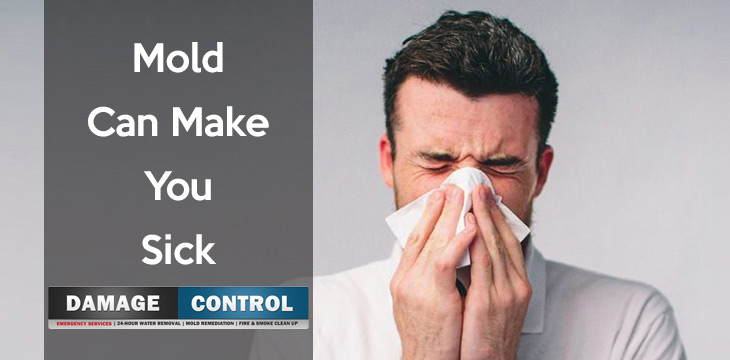 how does mold make you sick? Symptoms and treatments.