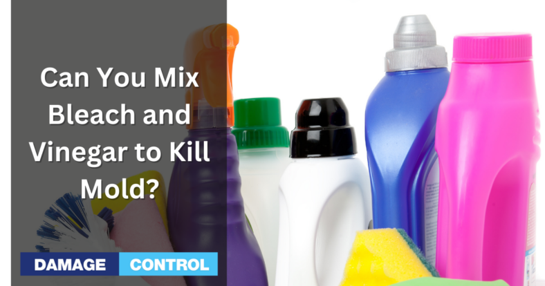 Can You Mix Bleach and Vinegar To Kill Mold