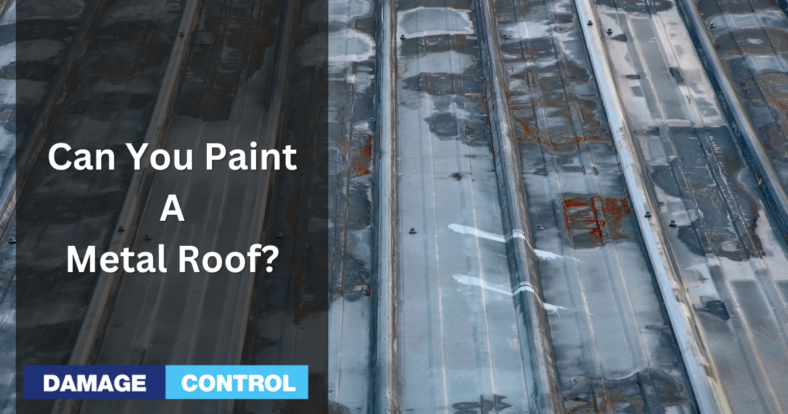 can you paint a metal roof