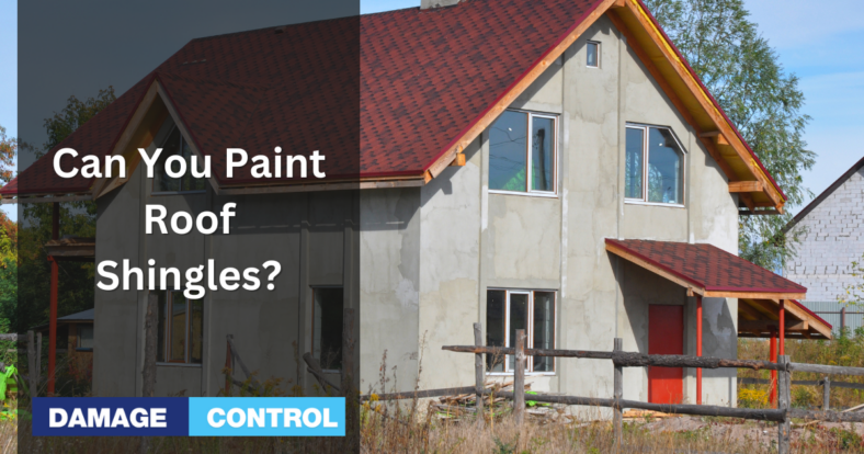 can you paint asphalt shingles