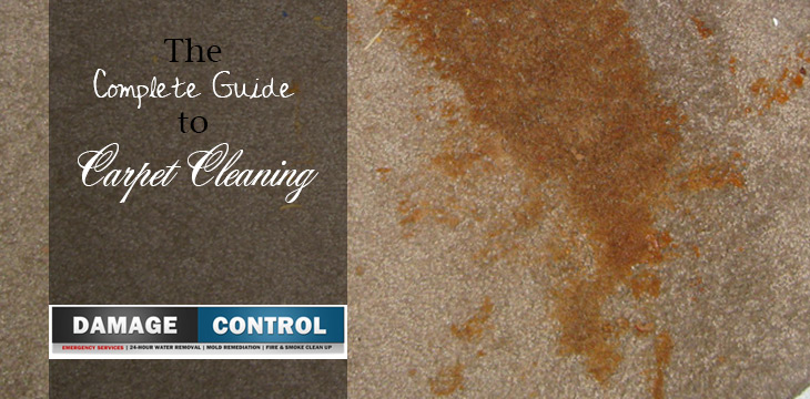 The Complete Guide to Carpet Cleaning