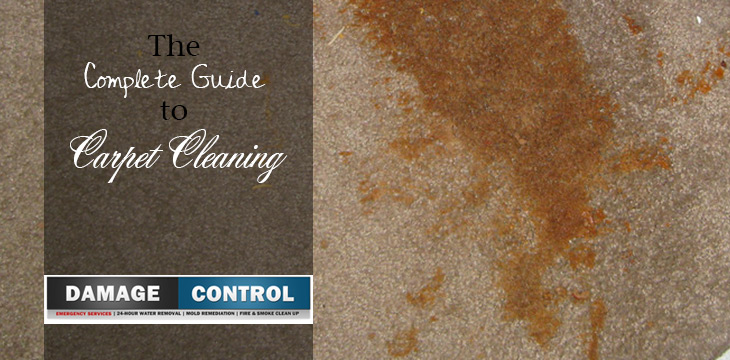 carpet cleaning guide