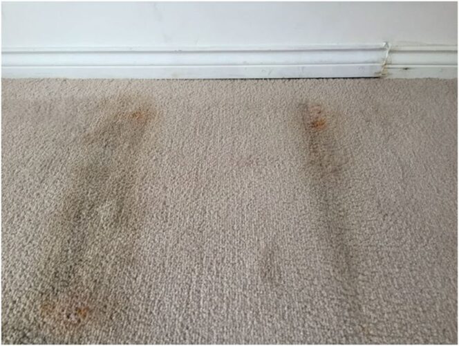 carpet stain