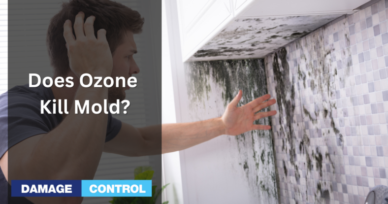 does ozone kill mold