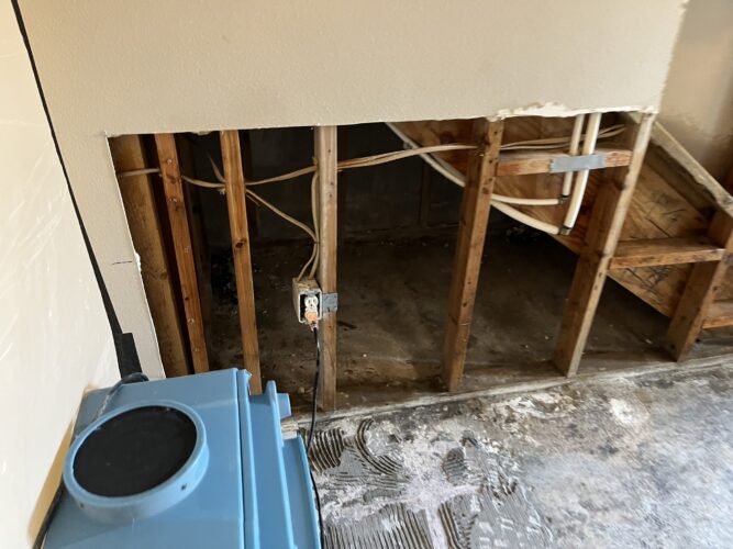 Can Mold Grow on Insulation? Understanding Risks and Prevention