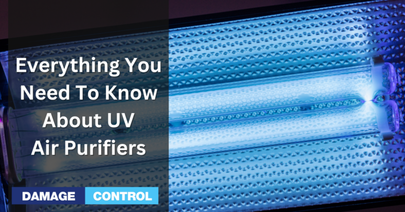 everything you need to know about uv air purifiers