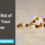 How to Get Rid of Ants In Your Home