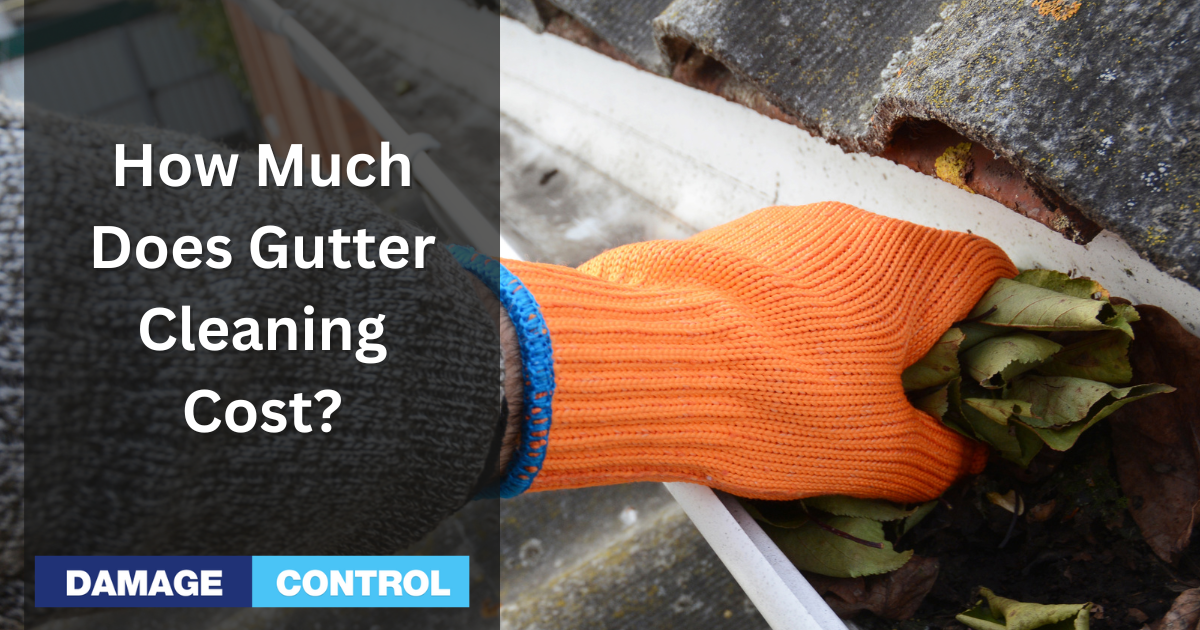 What's The Average Cost For Gutter Cleaning Services?