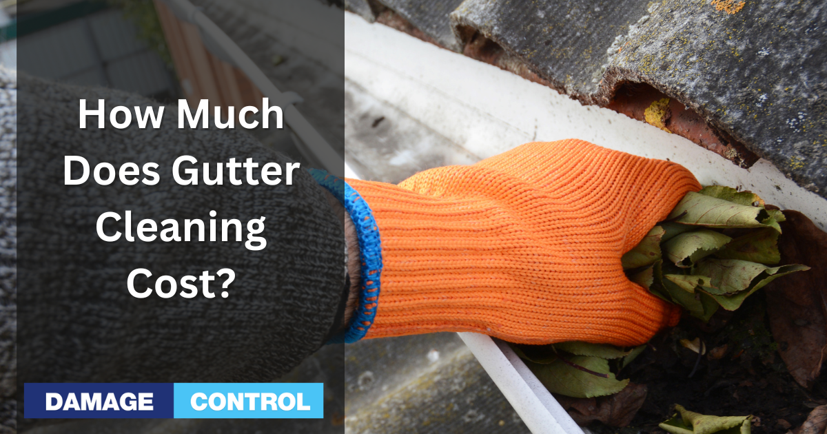 how much does gutter cleaning cost