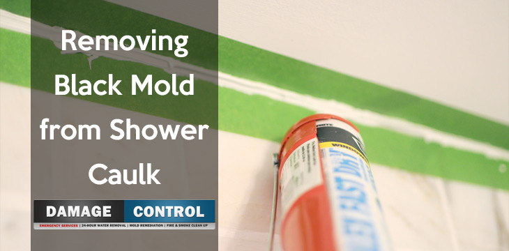 Remove Black Mold From Shower Caulk, Removing Mold Bathtub Caulking From Water Damage