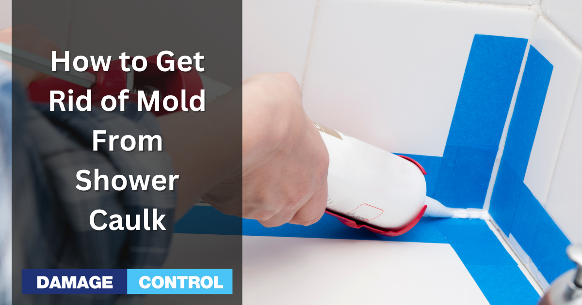 Remove Black Mold from Shower Caulk