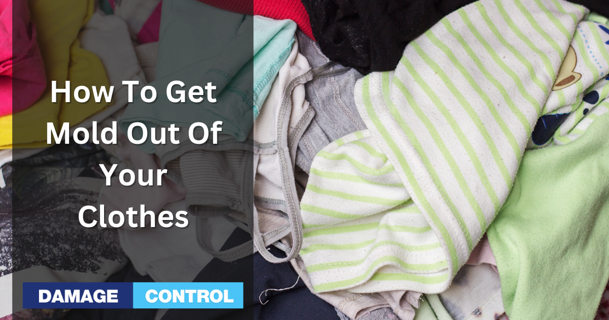 How to Safely Remove Mold From Clothing