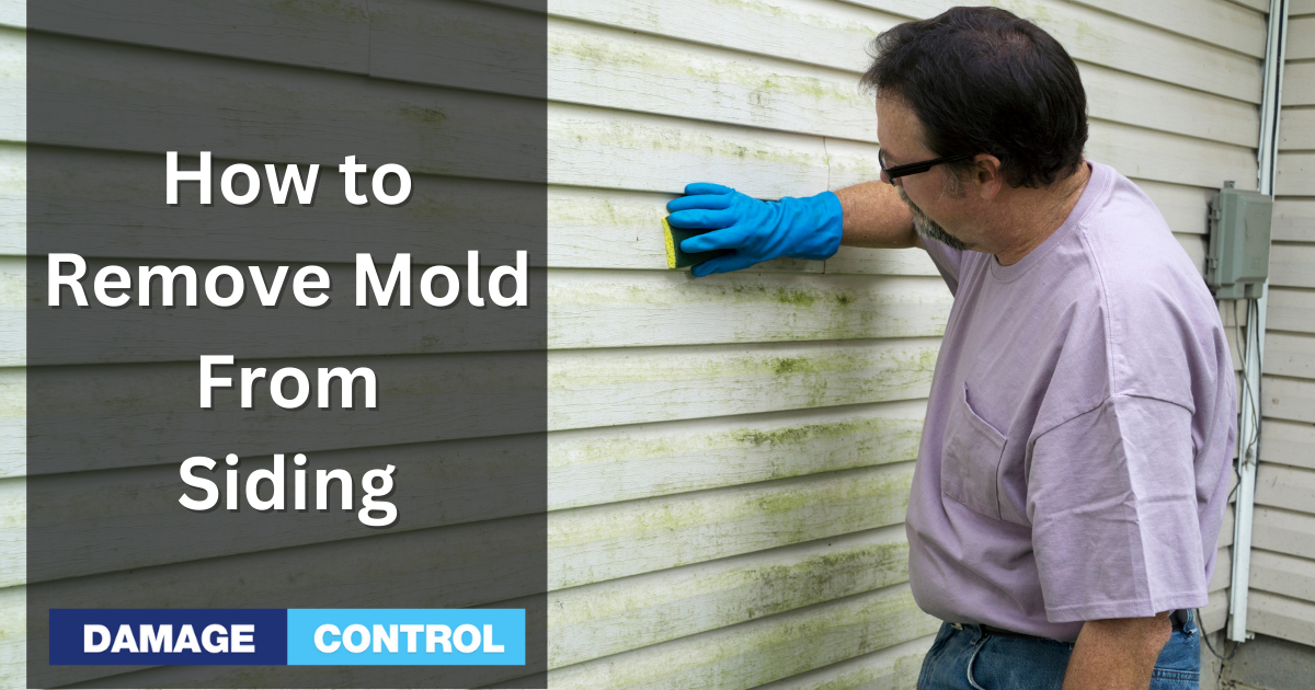 What Is the Best Way to Remove Mold From Siding?