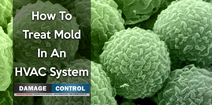 How To Treat Mold In HVAC System