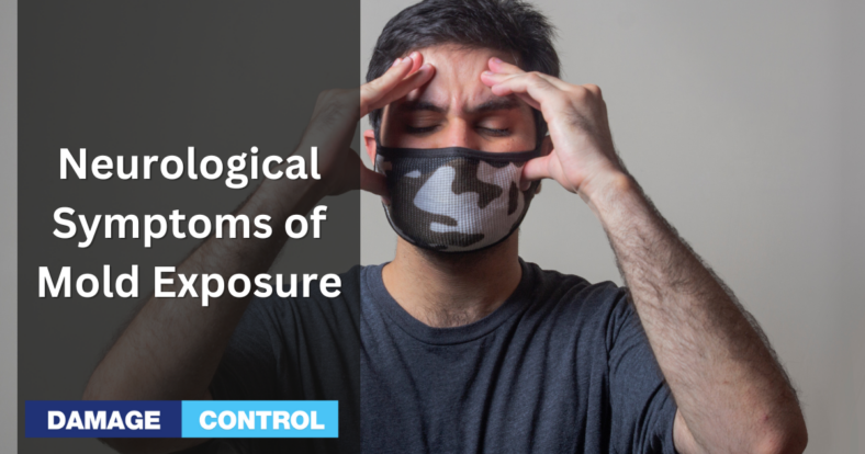 neurological symptoms of mold exposure