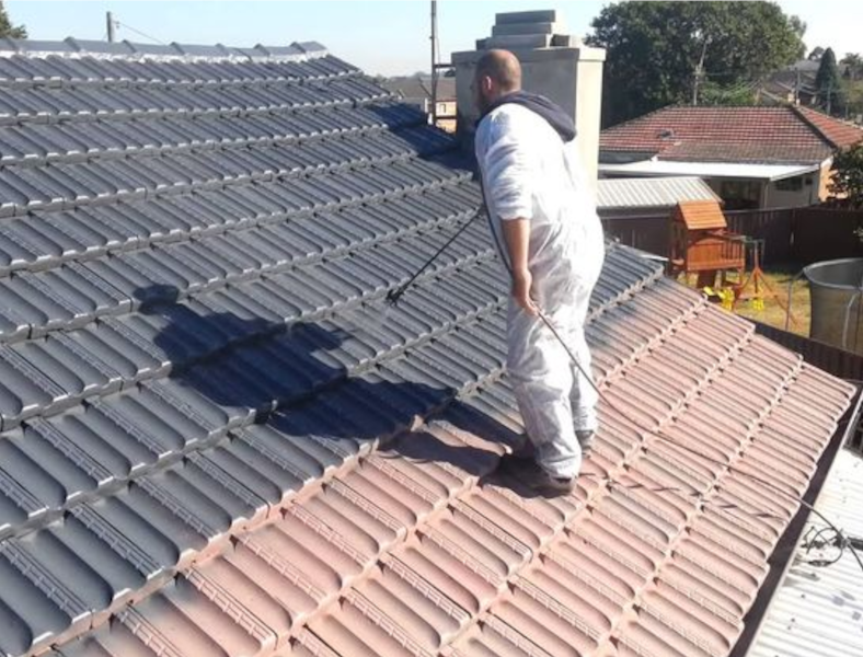 painting roof shingles