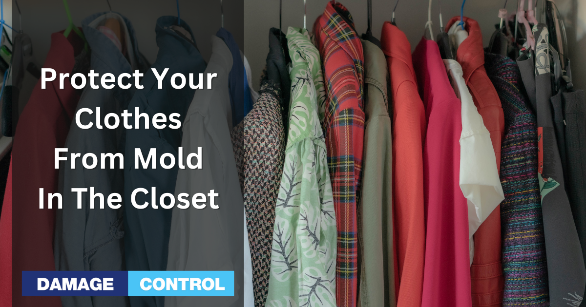 Protect Clothes from Mold in the Closet With Simple, Effective Tips