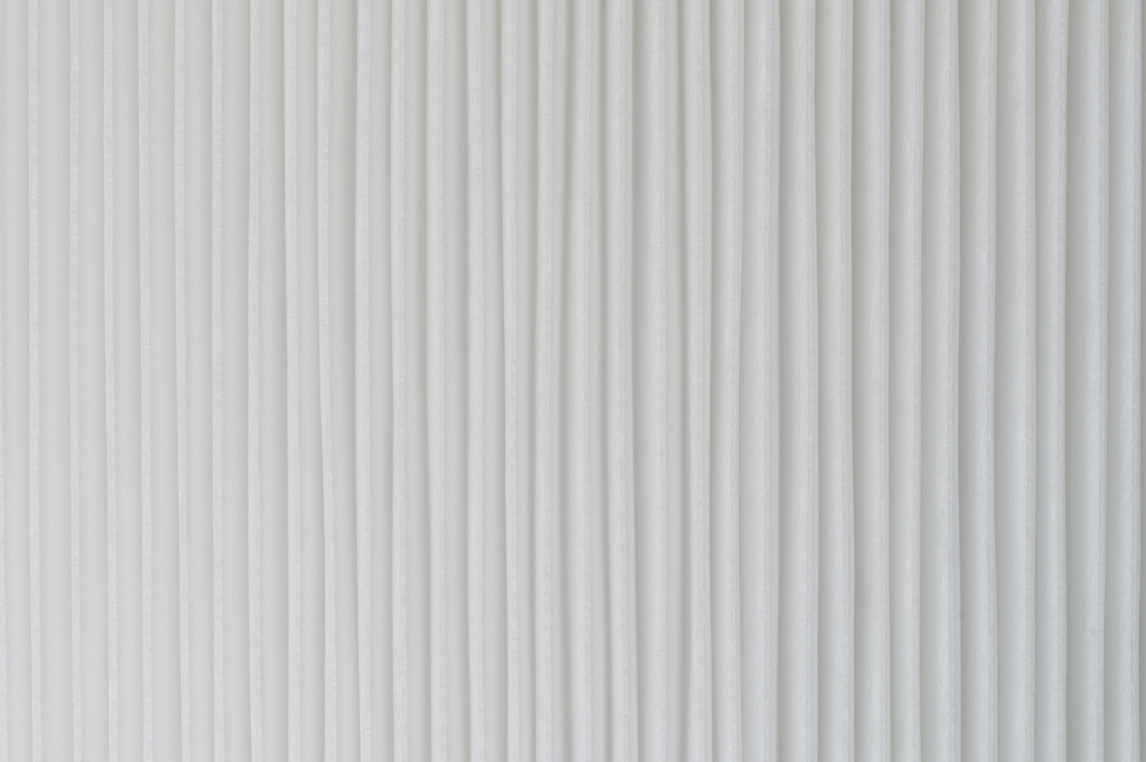 Will Hepa Filters Remove Mold Spores?