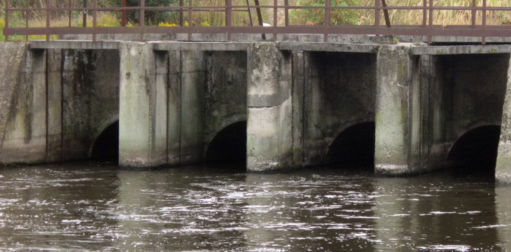 are sewage backups dangerous