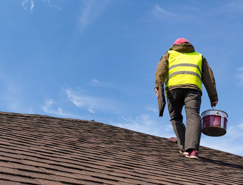 Can You Paint Roof Shingles Yes, No, Maybe So? Fact or Fiction?