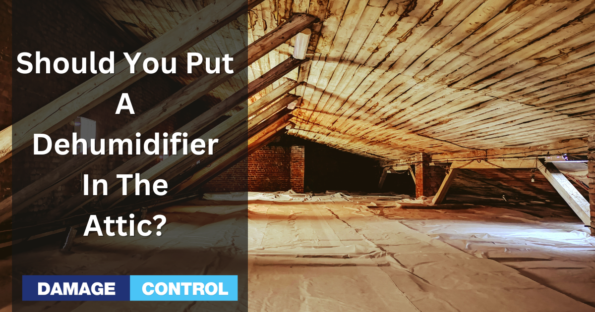 should you put a dehumidifier in the attic