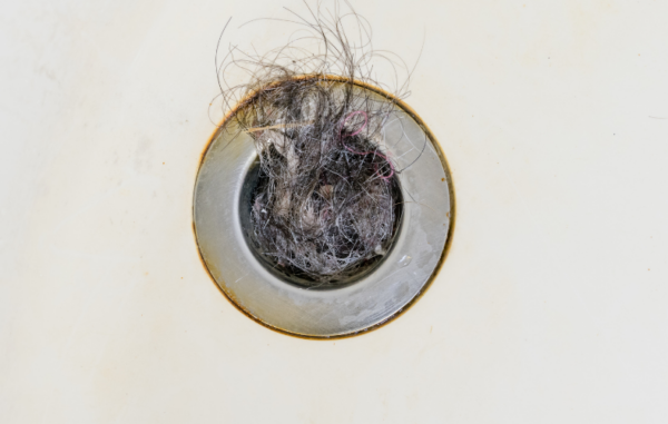 How to Effectively Remove Black Mold in Sink Drains - Damage Control