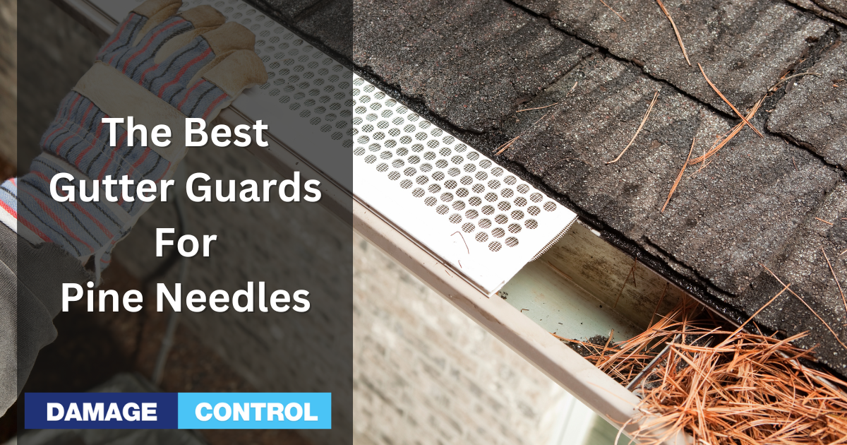 the best gutter guards for pine needles