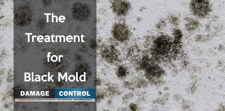 is there a treatment for black mold