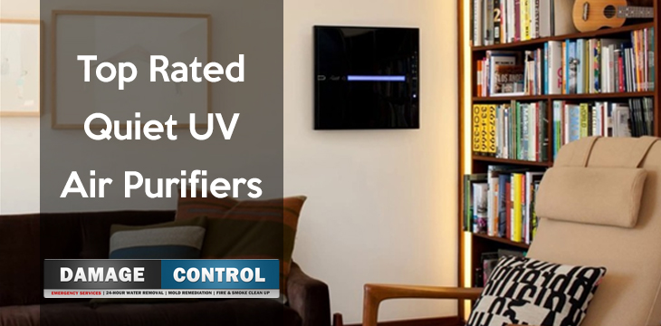 The Top Rated Quiet UV Air Purifiers