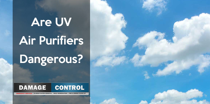 Are UV Air Purifiers Dangerous?