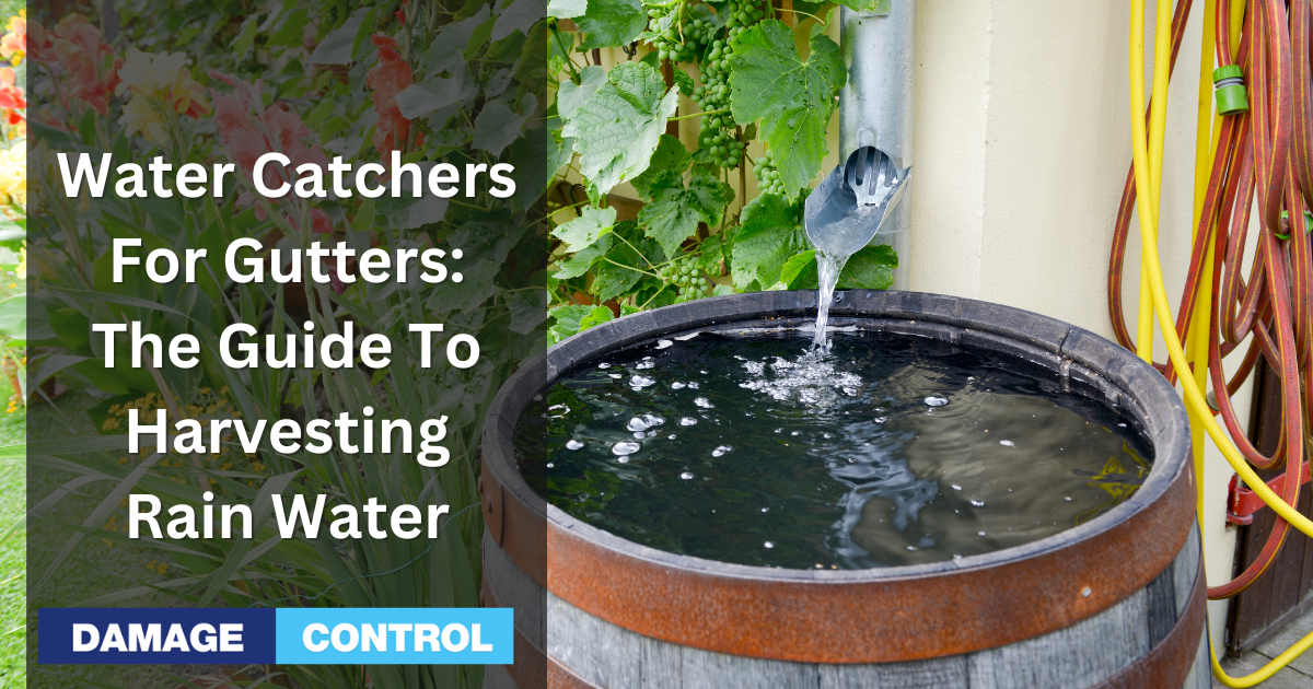 water catchers for gutters