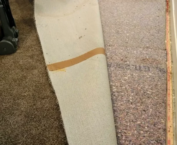 wet carpet padding