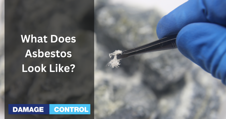 what does asbestos look like