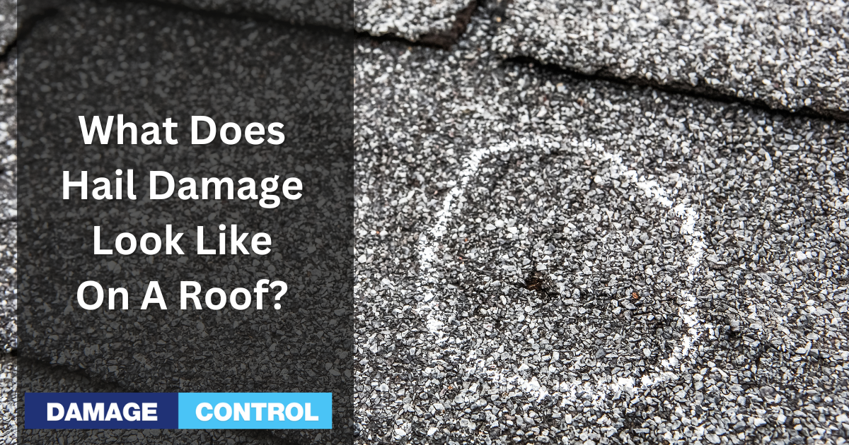 what does hail damage look like on a roof