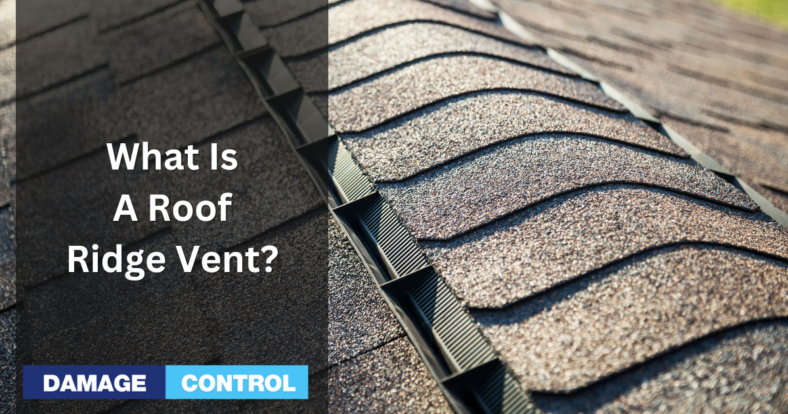 what is a roof ridge vent