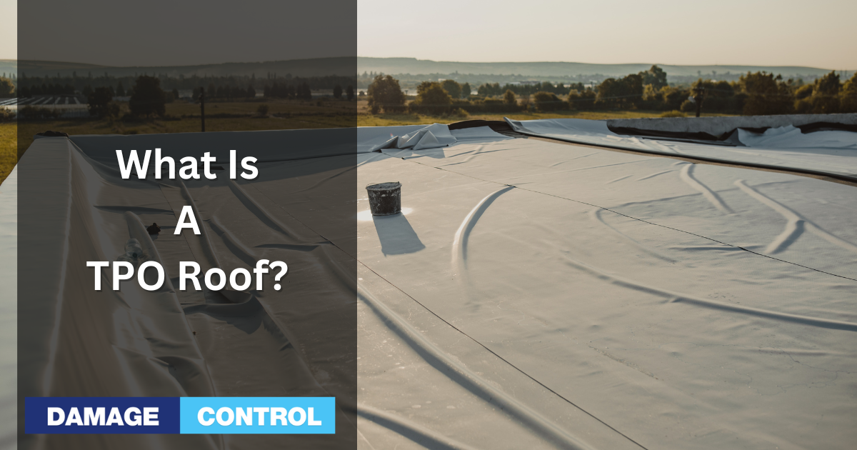 what is a tpo roof
