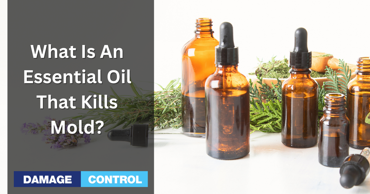 What is an Essential Oil?