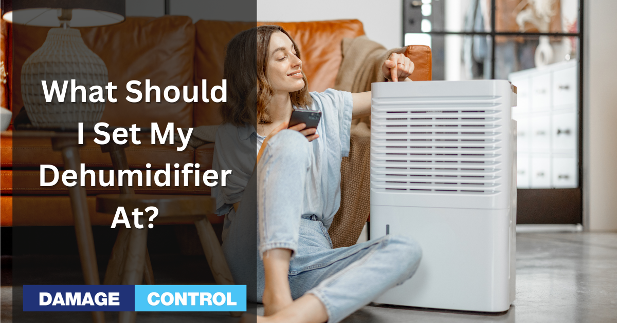 What Should I Set My Dehumidifier At?