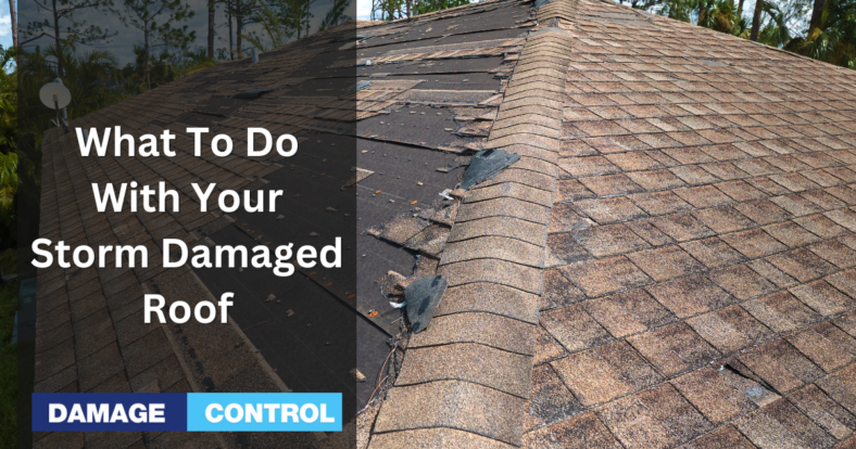 what to do with your storm damaged roof
