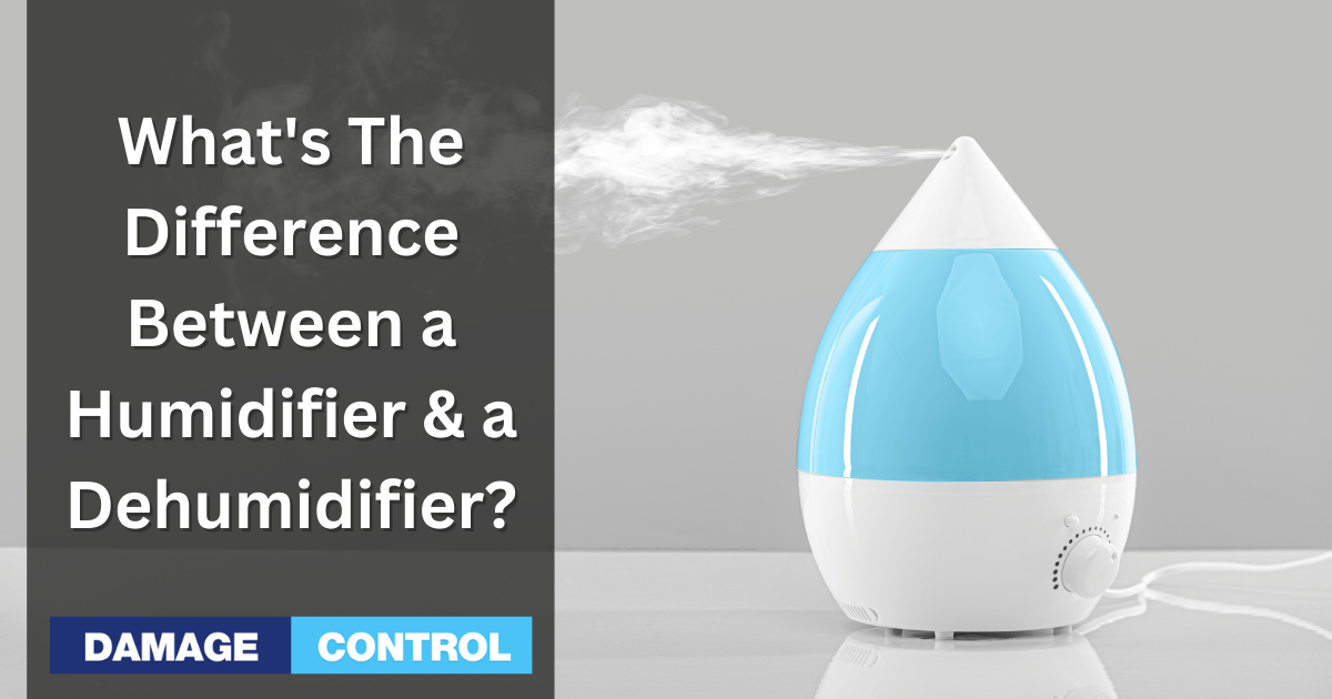 What is the Difference Between a Humidifier and a Dehumidifier?