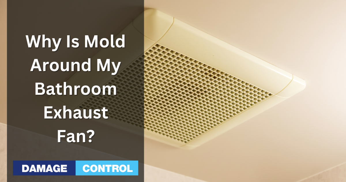 why is mold around my bathroom exhaust fan