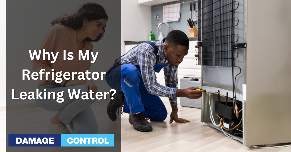 why is my refrigerator leaking water